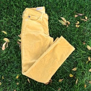 Adriano Goldschmied corduroy skinny pants